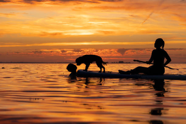 duas pessoas no sup board em golden sunset - surfing teenage girls friendship sunset - fotografias e filmes do acervo