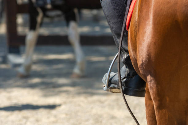 istock Close Up of leather Boots inside the Stirrups on Blurred Background. 1421691283