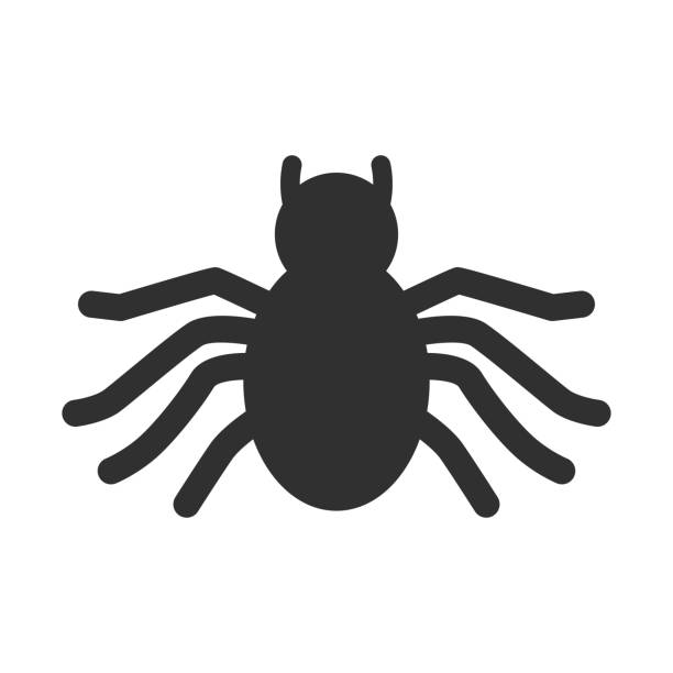 черный силуэт паука для дизайна хэллоуина. - silhouette spider tarantula backgrounds stock illustrations