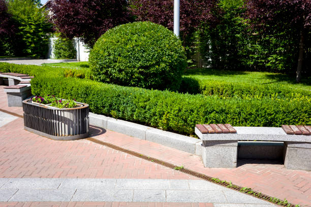 bench at a park - photo