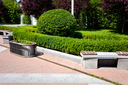 Landscape park with green bushes along a walking path