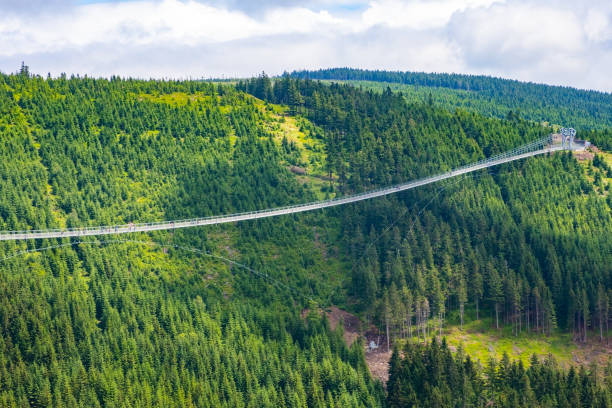 istock Sky Bridge 721 is the longest suspension bridge between two hills in the forest 1421697008