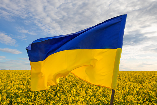 Ukrainian flag made of satin fabric on a background of a yellow field and a blue sky