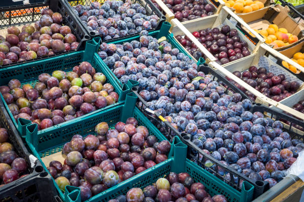istock ripe plums in a box on the store counter for purchase 1421697259