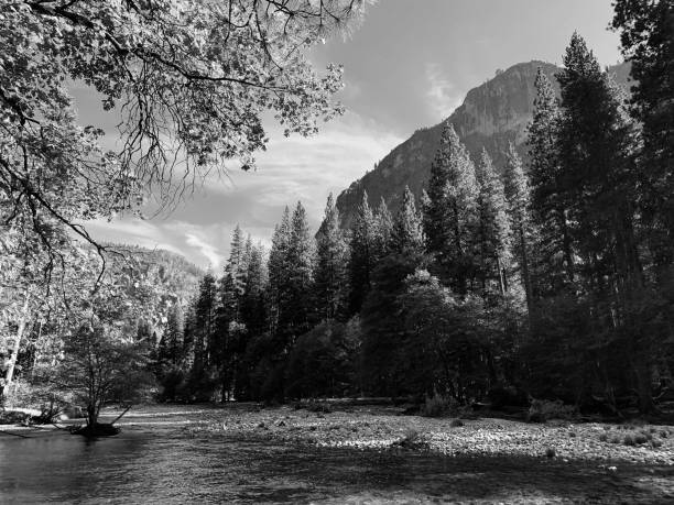 istock Campsite. Yosemite. 1421698087