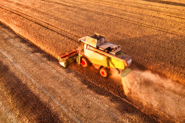istock Cereal harvest, harvester harvests in the field. 1421701437