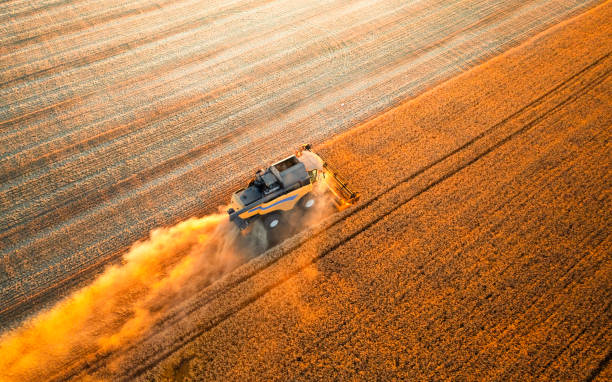 istock Cereal harvest, harvester harvests in the field. 1421701440