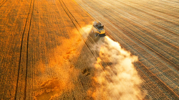 istock Cereal harvest, harvester harvests in the field. 1421701491