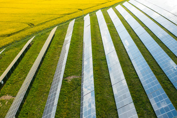 reihen von sonnenkollektoren auf der grünen wiese - solar power station solar energy sun clean stock-fotos und bilder