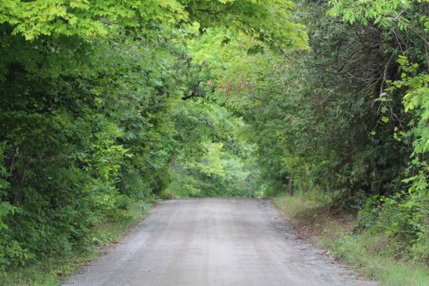 istock road in the woods 1421703668