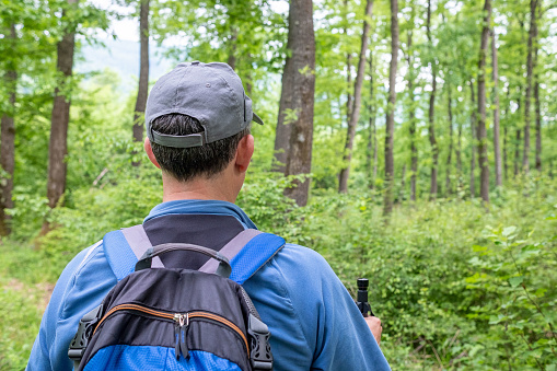 A middle-aged man is engaged in mountain tourism. He is wearing a blue tracksuit with a blue, gray and black backpack, a gray baseball cap, gray trainers and a walking stick in his hand. Mountain hiker in a beautiful forest in the mountains.