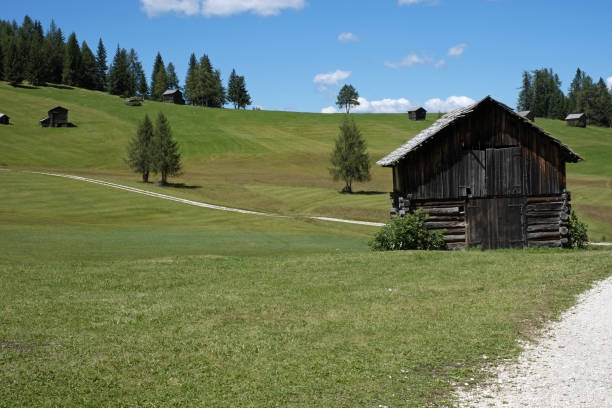 Photographs taken during a summer walk in the high mountains