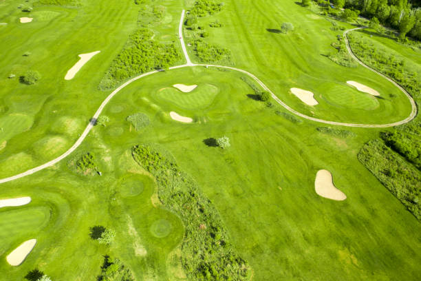 istock Golf course with sand bunker and green grass, aerial view 1421710360