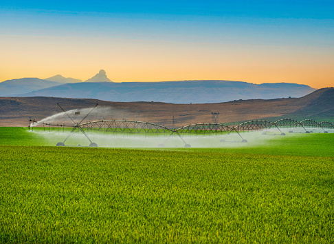 Agricultural irrigation system watering crop field in Drakensberg, South Africa