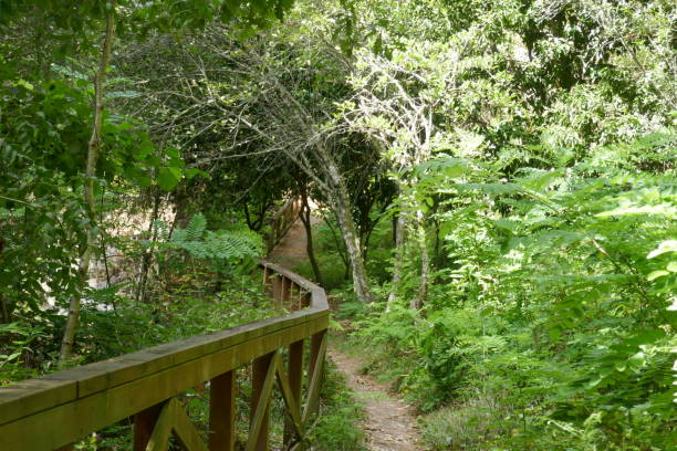 istock Cevide Village and River Troncoso Path 1421714584