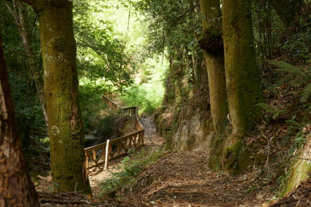istock Cevide Village and River Troncoso Path 1421714626