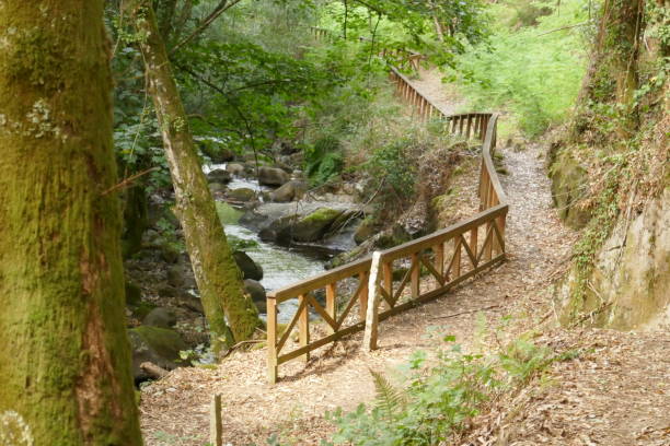 Views and details of the passage of Cevide in Portugal and the path along the river Troncoso on the Spanish side.