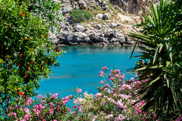 istock Seascape seen through the trees in Rhodes, Greece 1421721237