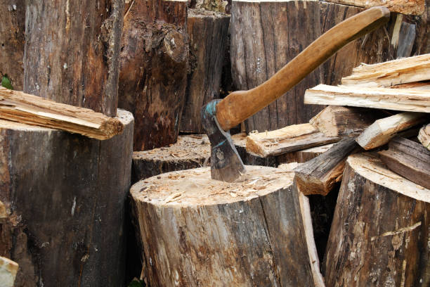 용광로 난방을위한 장작의 ��준비. 벽난로를위한 나무 줄기 톱니 - axe tree cutting deforestation 뉴스 사진 이미지