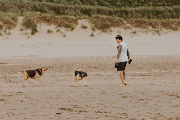 uomo che gioca con i cani in spiaggia - woolacombe foto e immagini stock