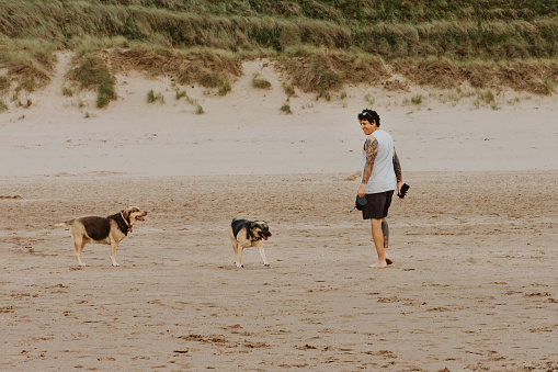 Man walking his mix dogs on the beach at Woolacombe, in Devon UK