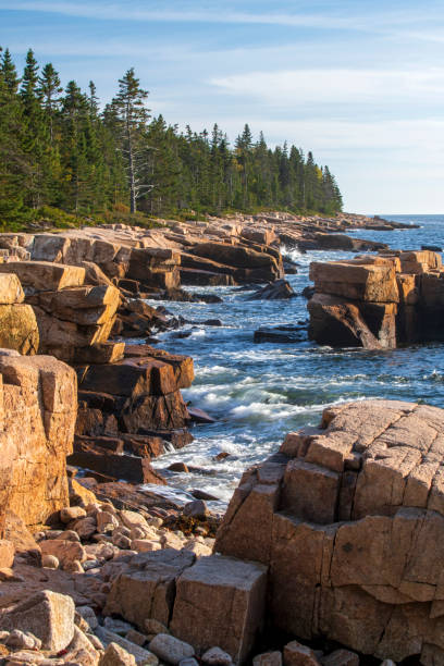 istock Rocky shore at Schoodic Peninsula 1421731629