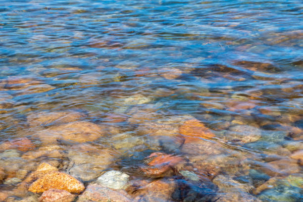 Colorful rocks in lake at Schoodic Peninsula, Acadia National Park, Maine, USA