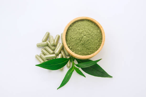 istock Andrographis paniculata powder  in wooden bowl with capsule and tip andrographis paniculata plant on white paper background. 1421737513