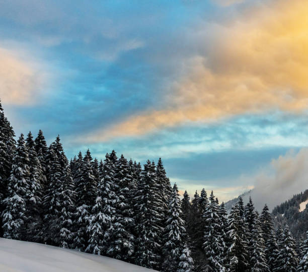 istock Beautiful Appenzell  pictures 1421739210