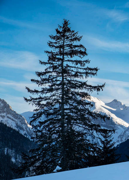 istock Beautiful Appenzell  pictures 1421740887