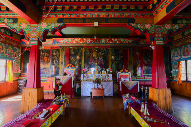 young lama at sikkim monastery, india - tanka imagens e fotografias de stock