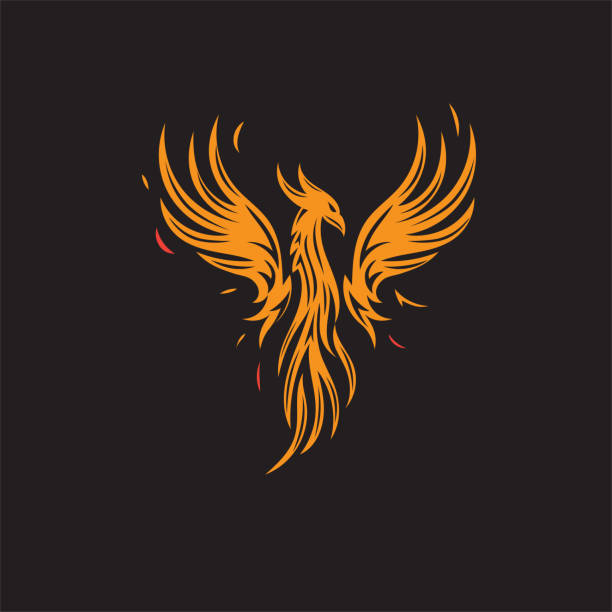 abstract Phoenix bird logo vector illustration Phoenix logo of mythological bird vector illustration phenix stock illustrations