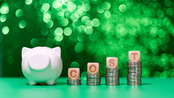 istock Word cost on heap of coins 1421752235
