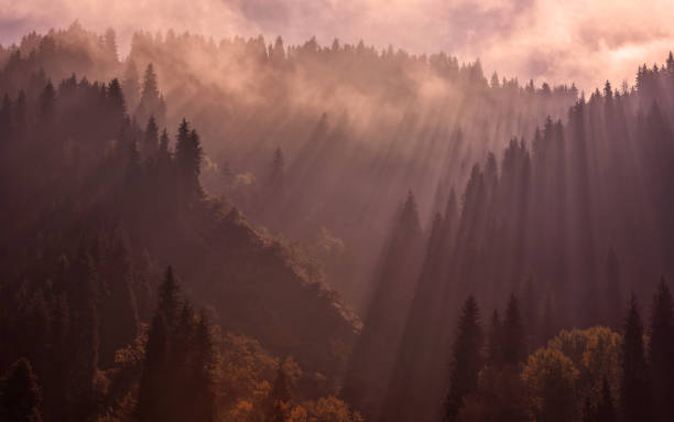 istock Rays of light and mixed autumn forest in the mountains 1421752429