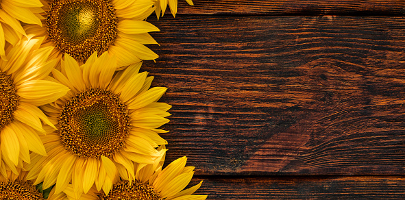 Sunflower flowers on an old yellow from time wooden table. Background. Place for text.