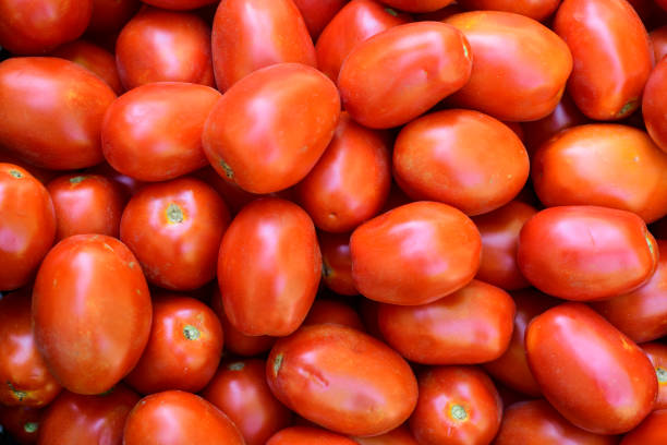istock group of fresh tomatoes close-up 1421766505