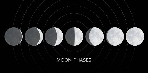 ムーンフェイズ天文学イラストセットベクトル - phase image mri scan science nobody点のイラスト素材／クリップアート素材／マンガ素材／アイコン素材