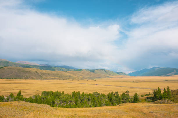 Dramatic view from forest to high mountain range in sunlight during rain in changeable weather. Colorful landscape with green forest and sunlit steppe against large mountains under cloudy sky in rain. vista dramática desde el bosque hasta la alta cordillera a la luz del sol durante la lluvia en un clima cambiante. paisaje colorido con bosque verde y estepa iluminada por el sol contra grandes montañas bajo el cielo nublado bajo la lluvia.