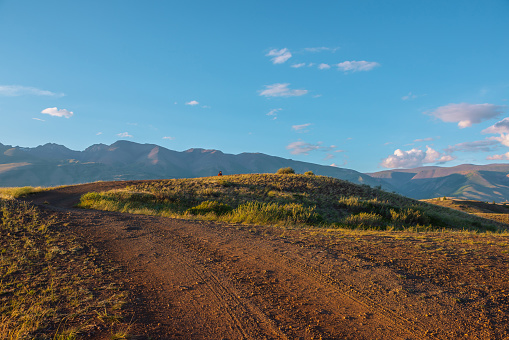 Tourist on sunlit gold grassy hill with dirt road with view to high mountain range. Beautiful sunny mountain landscape with man in mountains. Colorful scenery with traveler on hill in golden sunlight.