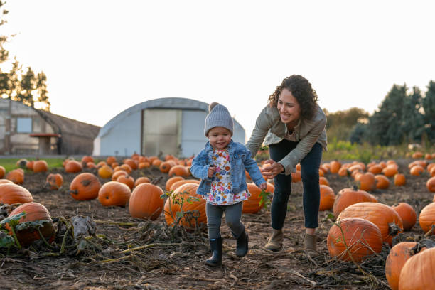 istock Ethnic thirty year old mom playing with her toddler at a pumpkin patch 1421771670