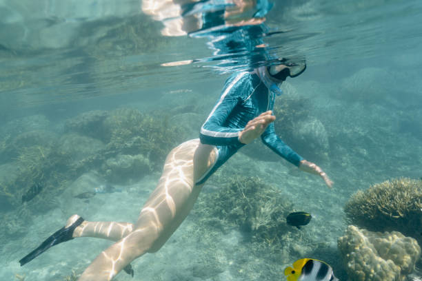 istock Snorkling underwater in lagoon, Tahiti, Moorea 1421771832