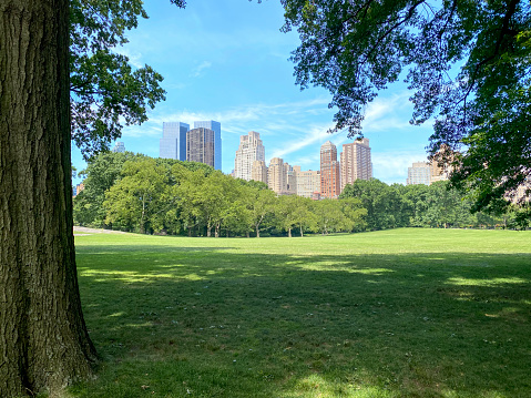 Beautiful summer day in Central park