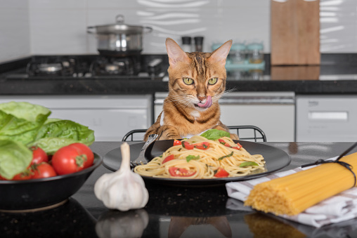 A domestic cat sits at the table and licks its lips, in front of the cat there is a plate with cooked pasta with cherry tomatoes and basil.