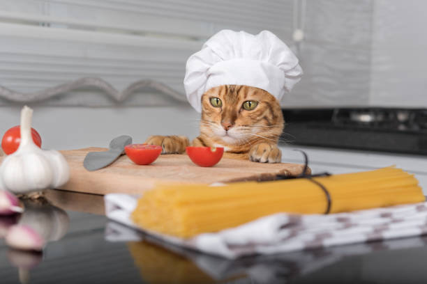 istock Cat in a chef's hat at the table with ingredients for making pasta with cherry tomatoes. 1421791109