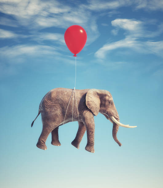 elefante che vola con palloncini. - elefante immagine foto e immagini stock