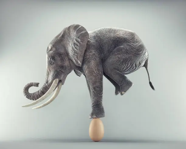 Photo of Elephant stands on an egg. Solid plan and unbreakable concept.