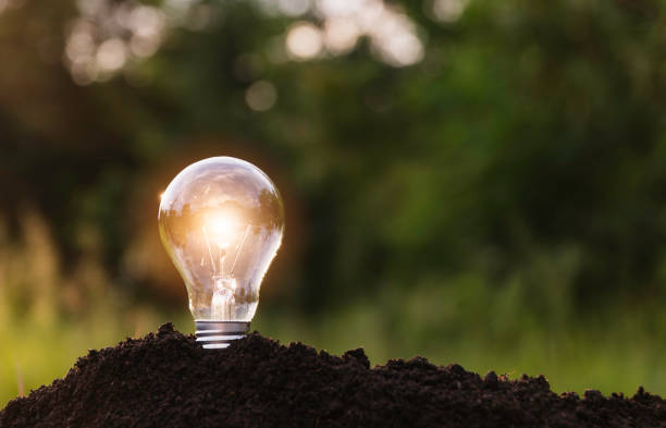 istock Light bulb putting on the soil in nature background. 1421794102