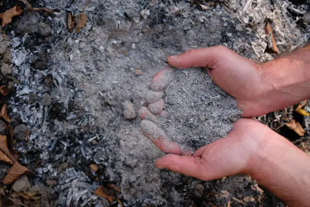 Photo of Ashes in men's palms on an ash place background.