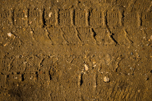 The texture of the track car. Brown earth close-up view from above. Natural design. Tire tracks on the ground. Autumn abstract natural ochre background. Layout for text, texture of clay stones sand