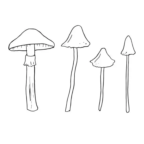 Vector illustration of Set of various inedible mushrooms, pale toadstools. Linear sketches, stylized vector graphics.